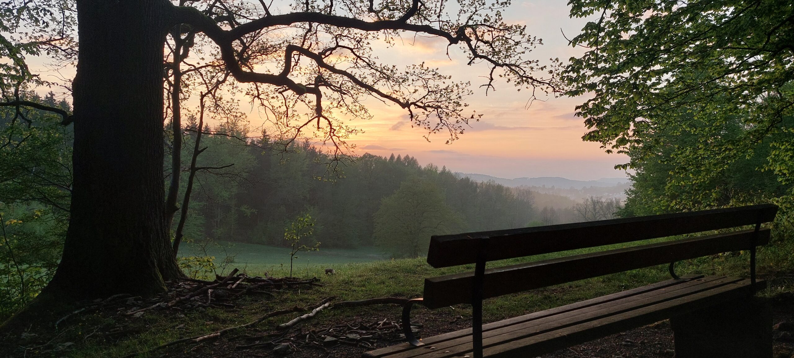 Wandern im Thüringer Wald