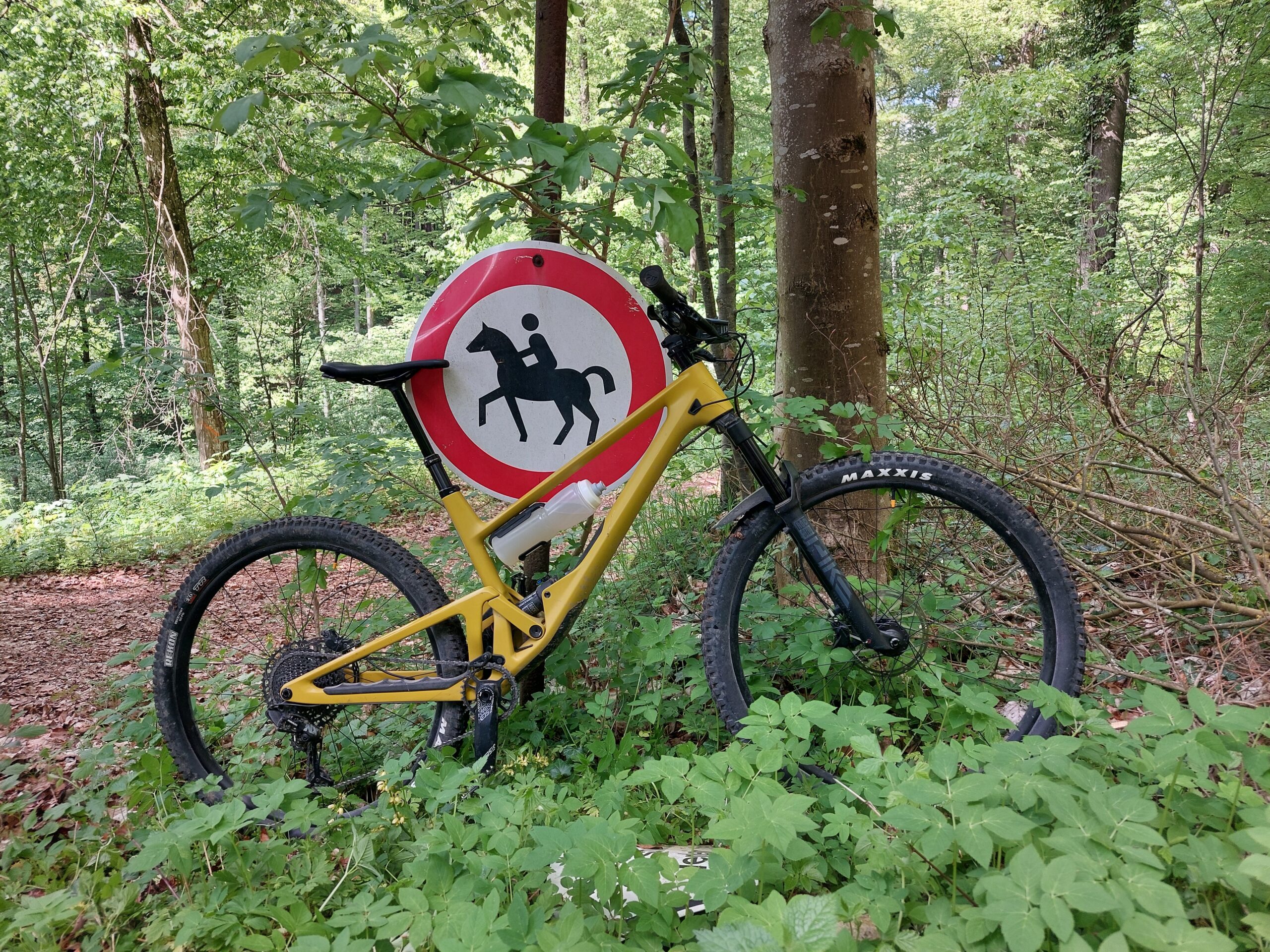 Radtouren in Thüringen